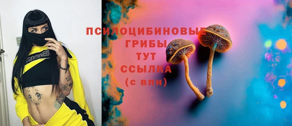 СК Осинники