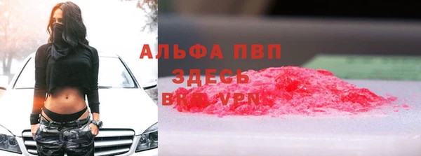 ешки Пересвет