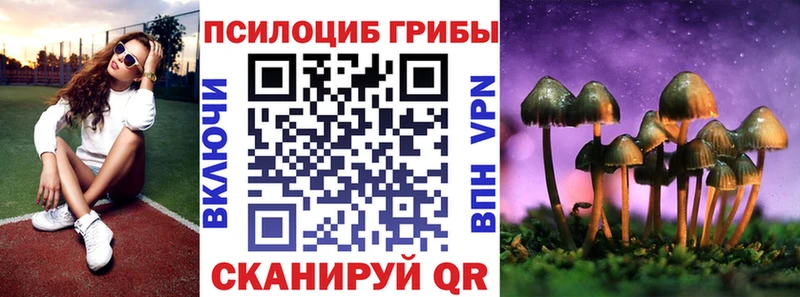 Галлюциногенные грибы Psilocybe  Чебоксары 