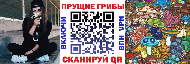 Псилоцибиновые грибы прущие грибы Чебоксары