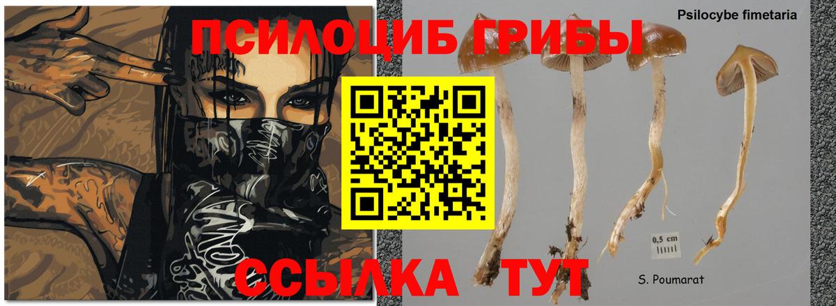Галлюциногенные грибы ЛСД Чебоксары