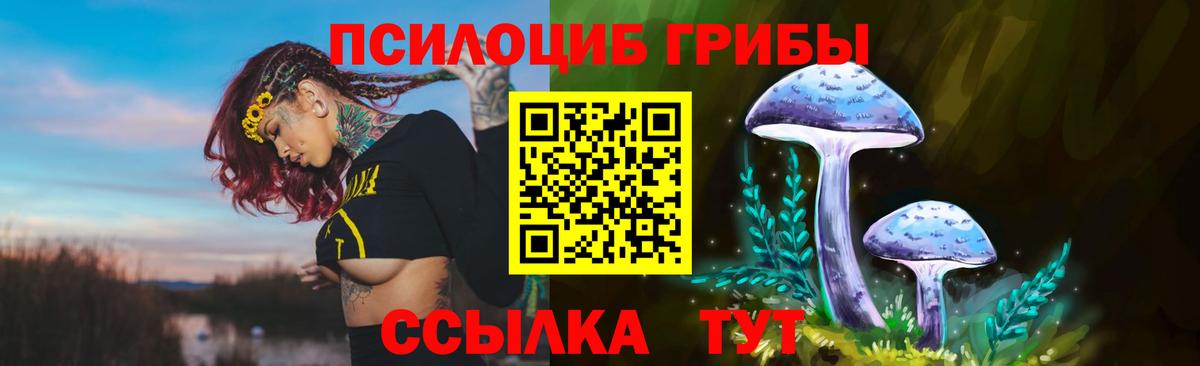 Псилоцибиновые грибы Psilocybe  Вход с VPN  хочу наркоту  Чебоксары 